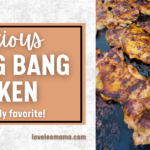 delicious bang bang chicken recipe | loveleemama.com