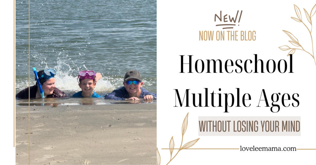 new on the blog | how to homeschool multiple ages | loveleemama.com new on the blog | how to homeschool multiple ages | loveleemama.com